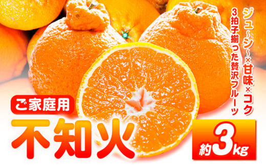 【先行予約】【ご家庭用】紀州有田産 不知火 ( しらぬひ )  約3kg 株式会社魚鶴 《2026年2月中旬-3月中旬頃出荷》 和歌山県 日高川町 不知火 みかん 柑橘 果物 フルーツ デコポン と同品種 でこぽん 訳あり不知火 訳ありデコポン 訳あり