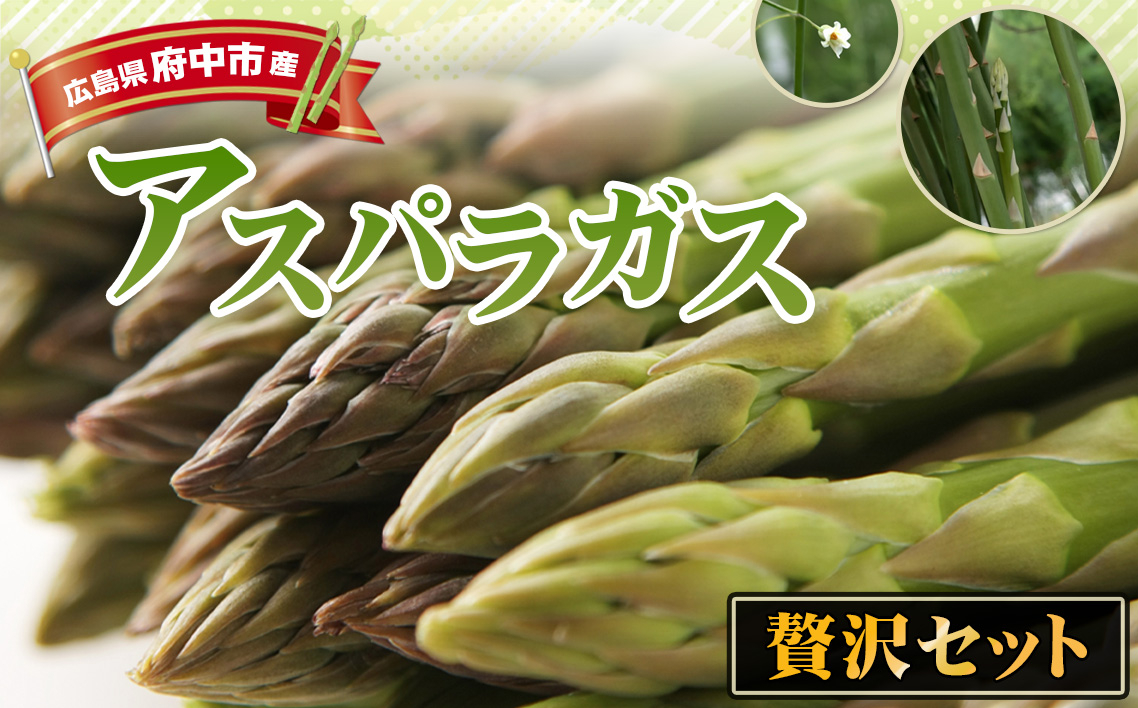 
            No.1088 アスパラガスの贅沢セット ／ 野菜 朝採れ 新鮮 贈り物 栄養 みずみずしい サラダ グリル 炒め物 広島県
          