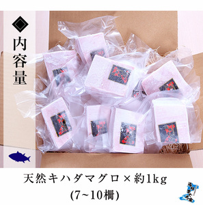天然! キハダマグロ 約1kg（100g×7-10柵） 真空 冷凍 便利な 小分け 柵  まぐろ 刺身 きはだまぐろ 赤身【海鮮まぐろ家】【B-347H】