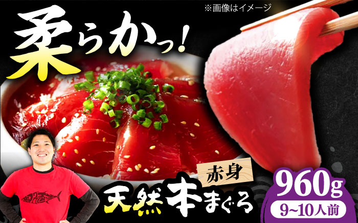
            極上！たね熟天然本まぐろ赤身(960g) 天然 マグロ 鮪 赤身 刺身 魚 魚介 魚介類 海鮮丼 本マグロ 本まぐろ 本鮪 赤身 天然鮪 冷凍 お刺身 お寿司 大阪府高槻市/本まぐろ直売所 [AOCE006]
          