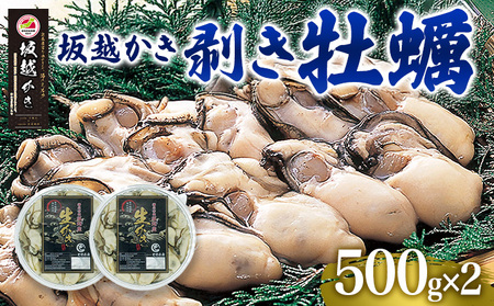 牡蠣 坂越かき 剥き牡蠣 約500g×2パック 計約1kg【2025年12月上旬～2026年4月下旬まで発送予定】／ かき カキ オイスター 生牡蠣 剥き身 魚介 貝 海産物 生食 パック 兵庫県 赤穂市