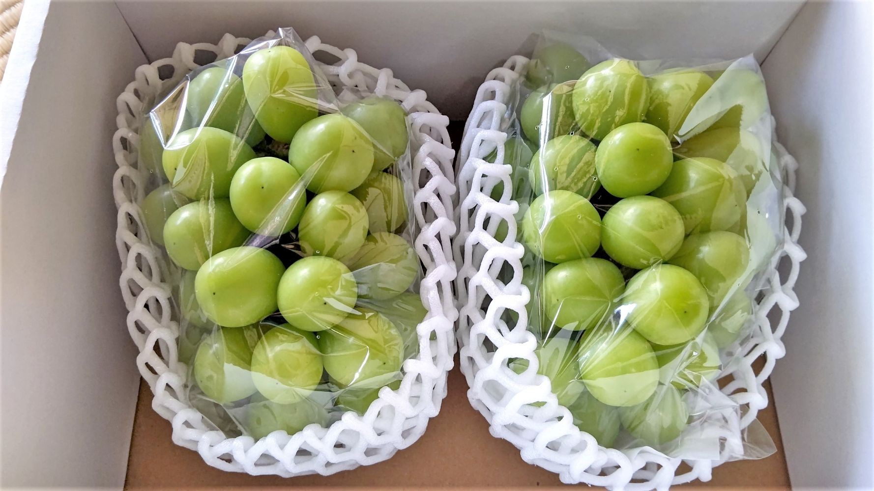 
                  シャインマスカット　２房　合計１.４ｋｇ　0015-2604
                