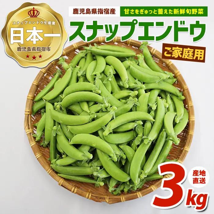 2027年2月上旬以降発送 ご家庭用スナップエンドウ約3kg IB092-004