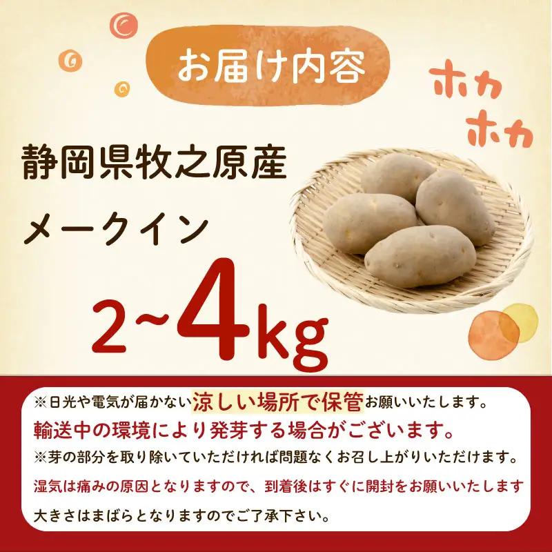 【先行予約 2027年3月順次発送 国産 じゃがいも】掘りたてメークイン 4kg  新じゃが  丸新柴本製茶 静岡 県 牧之原市