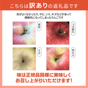 【2026年先行予約】【訳あり】シナノゴールド5kg(14個～16個） りんご 山梨県産  期間限定 家庭用 規格外 フルーツ 果物 果実 山梨 北杜市 [h301]