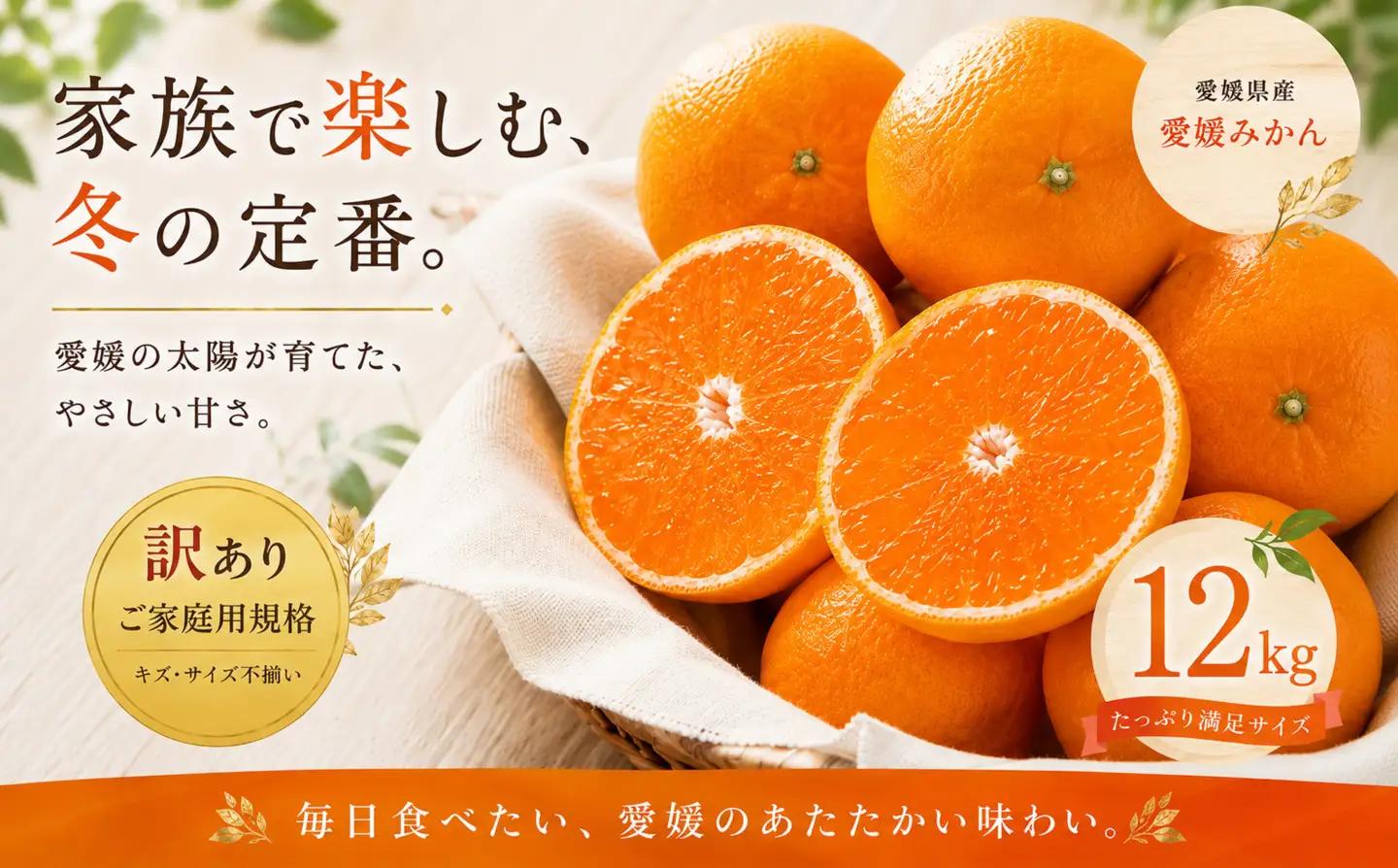 ＜訳あり 愛媛県産みかん 合計約12kg＞『2026年10月下旬～1月下旬迄に順次出荷予定』 ミカン 蜜柑 食感 甘い ご家庭用 果汁 果物 くだもの フルーツ みかん オレンジ 柑橘 人気柑橘 特産品 株式会社OSN 愛媛県 西予市 【常温】OOS0044