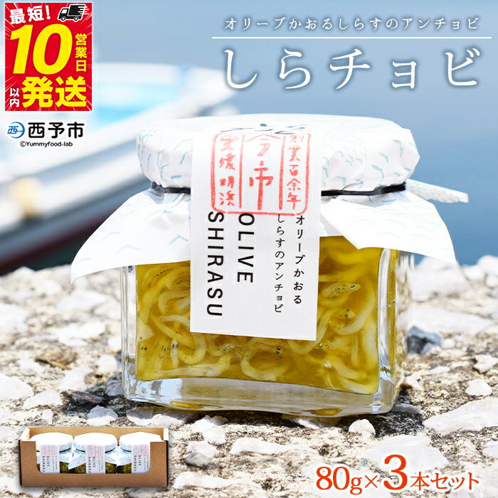 【ふるさと納税】＜今市水産 しらチョビギフト3個(80g×3個)＞ しらす シラス オイル漬け アンチョビ しらちょび 簡単レシピ付き パスタ おつまみ オリーブオイル漬け ご飯のお供 土産 手土産 贈り物 特産品 愛媛県 西予市【常温】『最短10営業日以内に順次発送予定』