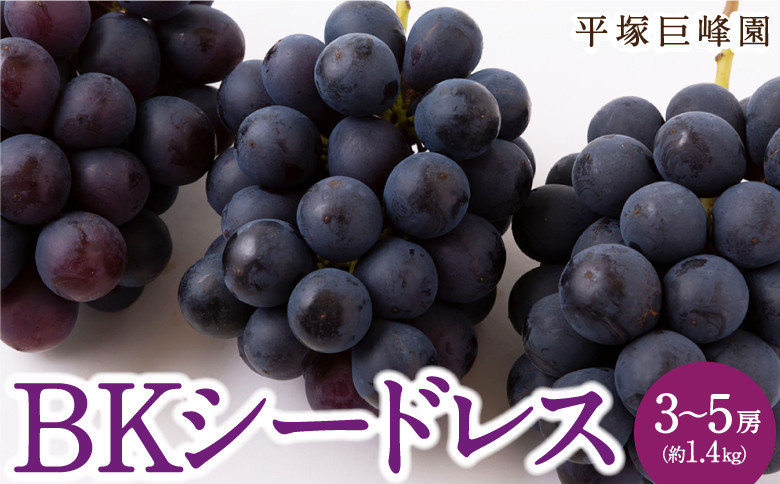 
            【先行予約】 平塚巨峰園 BKシードレス 3房から5房 （約1.4kg） 【2025年9月中旬から9月下旬 出荷予定】 葡萄 ぶどう ブドウ 種無し 種なし 果物 くだもの フルーツ 果実 新品種 ミネラル農産物 お取り寄せ 福岡県 うきは市
          
