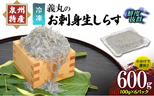 ＜100g×6パック＞ 義丸のお刺身生しらす　600g　泉州特産 『義丸のだんじりしらす』 しらす 生しらす シラス 刺身 小分け 冷凍 岸和田 だんじりしらす 新鮮 泉州 特産 パック 個包装 国産 産直 便利 海鮮 人気 おすすめ [№5385-1141]