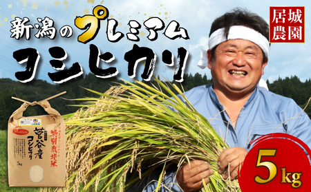 コシヒカリ 5kg 令和7年産 コシヒカリ 11月 特別栽培米 新潟 プレミアム