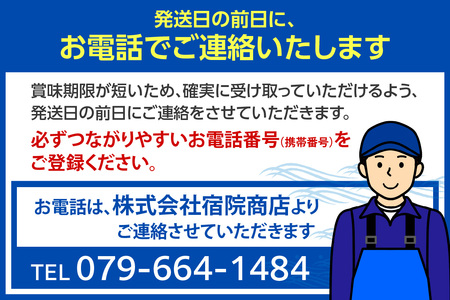 【先行予約】特選 活 松葉がに 生 1匹（約900g～1kg）冷蔵 【令和8年11月中旬以降発送予定】かに カニ 33-27