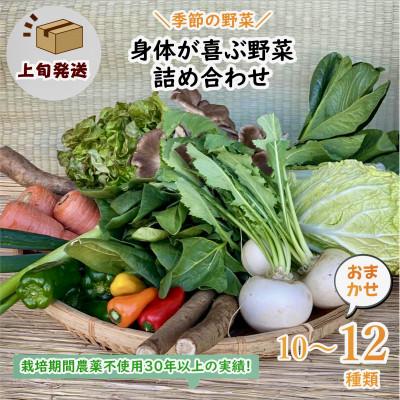 ふるさと納税 行方市 【発送月固定定期便】『身体が喜ぶ野菜』おまかせ10〜12品(上旬発送)全10回