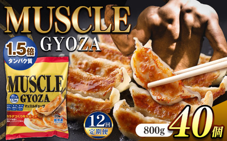 【定期便12回】MUSCLE GYOZA ~マッスルギョーザ　～冷凍餃子40個入り1袋 | 餃子 ギョーザ ダイエット マッスルギョーザ 長野県 松本市 信州産 ふるさと納税