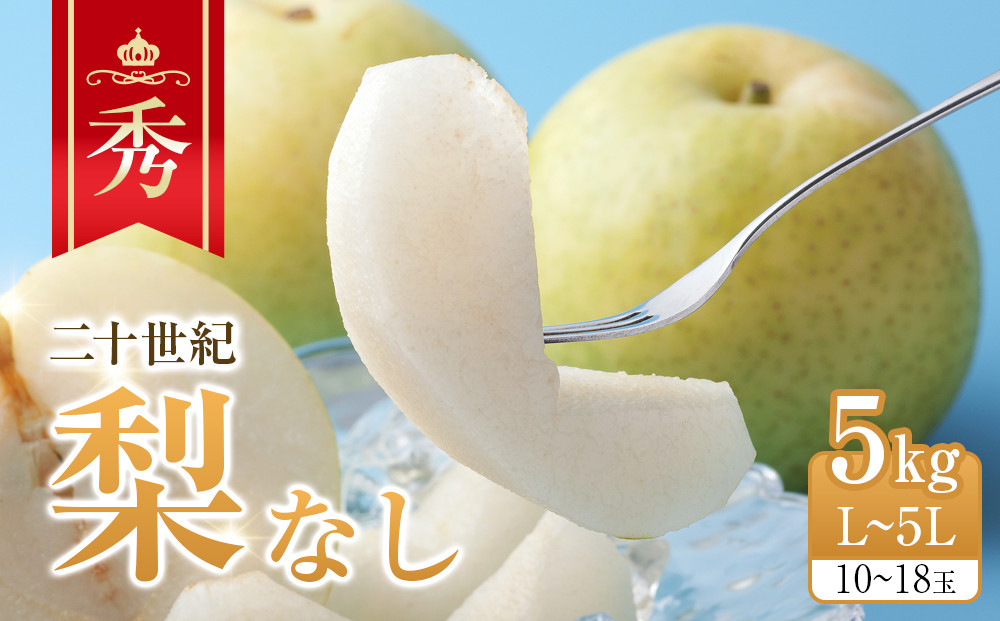 【ポイント交換専用】279.【先行予約】二十世紀梨　秀5kg　L～5L　10～18玉前後◇　※2025年8月下旬～9月下旬頃に順次発送予定 313726_AN055-P