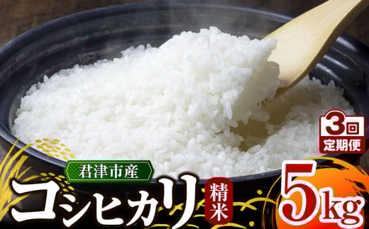 【 定期便 3ヶ月 】＼ 1回目は3週間以内に発送! ／【 令和6年産 】 君津市産 コシヒカリ 5㎏ × 3回 （ 精米 )  野口農園 | 5キロ 定期 米 コメ こめ お米 こしひかり コシヒカリ 有機肥料 減農薬栽培 新鮮 学校給食 オススメ 千葉県 君津市 きみつ