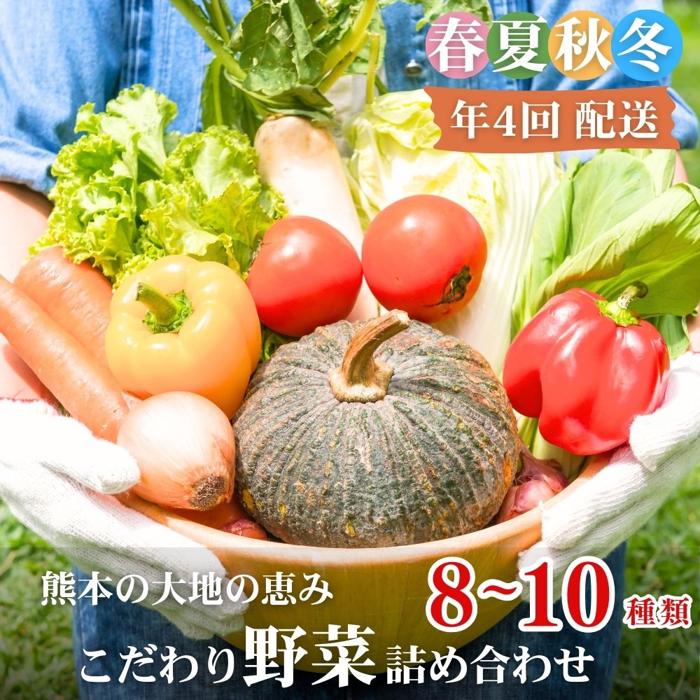 【ふるさと納税】【年4回定期便】春夏秋冬 熊本の大地の恵み こだわり野菜詰め合わせ 8〜10種類 定期便 野菜 獲れたて 直送 旬 熊本県 多良木町 ソムリエ 厳選 おまかせ おすすめ セレクト お試し 024-0817