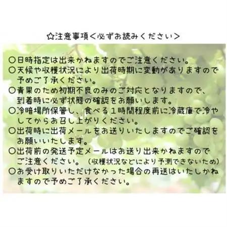 【2026年発送】山梨県山梨市産 朝採れ シャインマスカット 2.0kg (3～4房)【配送不可地域：離島・沖縄県】【1691269】