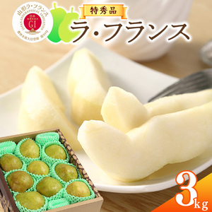 《先行予約》 【GI登録産品】 令和8年産 特秀品「山形ラ・フランス」3kg 《化粧箱入り》 L - 5L サイズおまかせ 山形県産 2026年産 【2026年11月中旬頃から12月末頃発送予定】　0