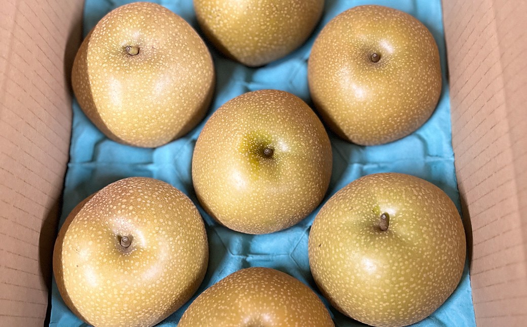 【ご家庭用】 九重町産 豊水 約3kg（約6～8個）