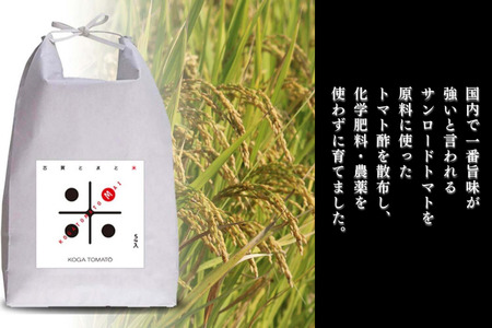 【新米】令和7年産 トマト酢を使って育てた「つや姫」 玄米10kg：B365-007