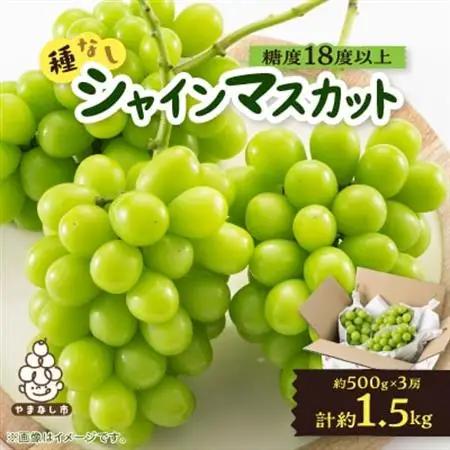 【2026年発送】山梨市産「シャインマスカット(種なし)」 約1.5kg (約500g×3房)_甘いシャインマスカット あまいシャインマスカット 美味しいシャインマスカット おいしいシャインマスカット