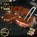 【ふるさと納税】レビューキャンペーン実施中!!ステーキ 若狭牛もも肉 500g(100g × 5枚) モモの中でも柔らかい部位を使用しています。 程よくサシの入った赤身の旨味をご堪能ください。 和牛 国産 牛肉 お家ごはん 贅沢 晩御飯 冷凍