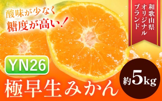【先行予約】極早生みかん YN26 約5kg マルツネ農園《9月下旬-10月下旬頃出荷》 和歌山県 日高川町 旬 果物 みかん 蜜柑 フルーツ 柑橘 産地直送