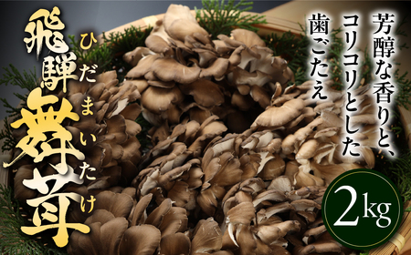 訳あり（簡易包装）飛騨舞茸 2kg まいたけ 舞茸 まいたけ【60-3】
