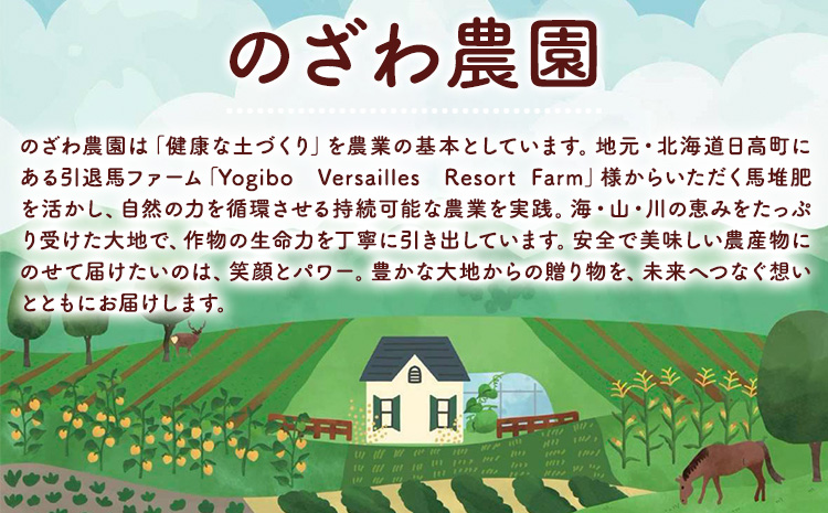 日高メロン  1玉 のざわ農園 《7月上旬-8月中旬出荷》2026年 7月出荷 北海道 日高町産 赤肉メロン 青肉メロン 旬 果物 フルーツ めろん デザート 産地直送 お取り寄せ グルメ 贈り物 ギ