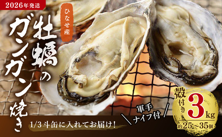 【2026年発送】ひなせ産　牡蠣　ガンガン焼きセット