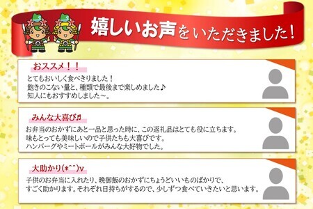 伊藤ハム 人気のお弁当のおかずバラエティ詰め合わせ【伊藤ハム 簡単 便利 レンチン 手軽 お弁当 おやつ おつまみ ハンバーグ ミートボール 単身】 A2-F021012