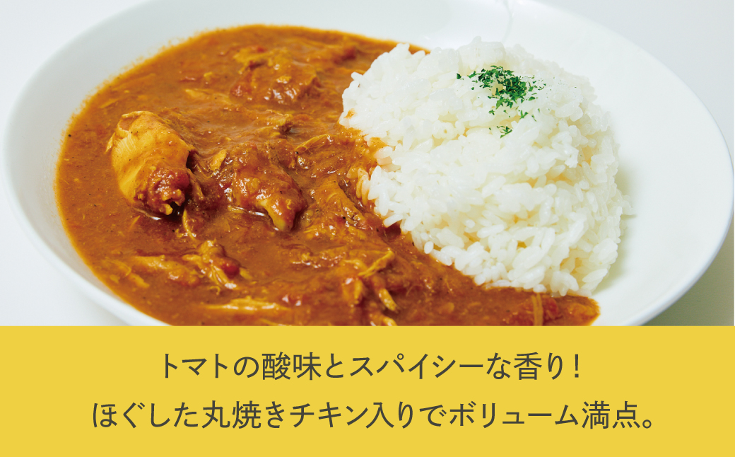 沖縄県産若鶏使用 オリジナルチキンカレー (1袋 約260g)  6袋セット | とりの丸焼こけこっこハウス | トマトベース オリジナル スパイス お肉たっぷり にんにくたっぷり 辛さ控え目 ヘルシ