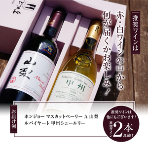 勝沼ぶどうの丘推奨・紅白ギフトセット C-657