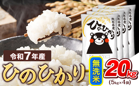 無洗米 ひのひかり 20kg 無洗