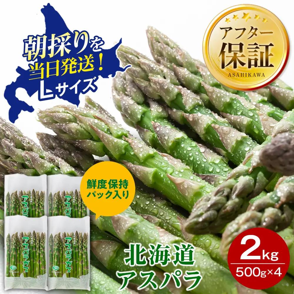 【2027年先行予約】朝採りアスパラ Lサイズ 2kg（500g×4）鮮度保持パック入り 旭川近郊産 露地物（5月中旬発送開始予定）| アスパラ 北海道 _01591