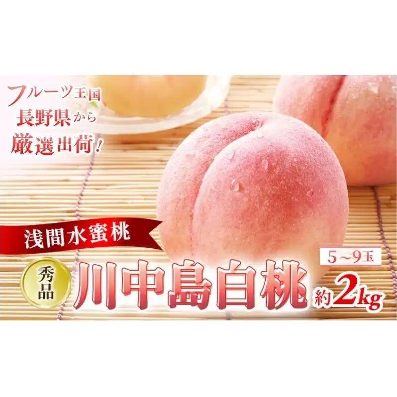 桃 川中島白桃 秀品 約2kg 5～9玉 果物 フルーツ 桃