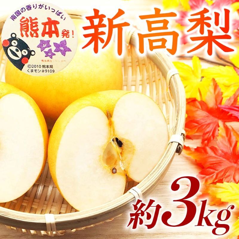 【ふるさと納税】新高梨 約3kg（4～12玉）【梨 なし 果物 フルーツ デザート 食後 熊本県産】※配送不可：離島　お届け：2026年9月1日～2026年10月10日