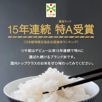 ふるさと納税 村山市 令和7年産つや姫　無洗米10kg |  | 02