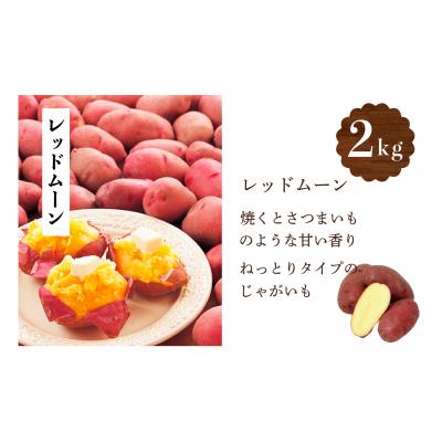 ふるさと納税 津別町 【R7年早期受付】秋の旬 じゃがいも2種食べ比べ 5kg ピンクの八百屋〜ナツやさい〜 |  | 02