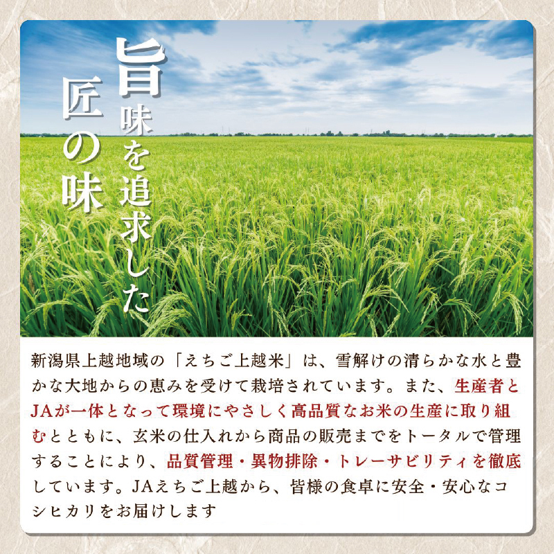 【先行予約】令和7年 新米 新潟県産コシヒカリ えちご上越米　定期便 【6ヶ月連続お届け】10kg×6回 60kg 新潟 米 新潟県 こしひかり 限定 おすすめ