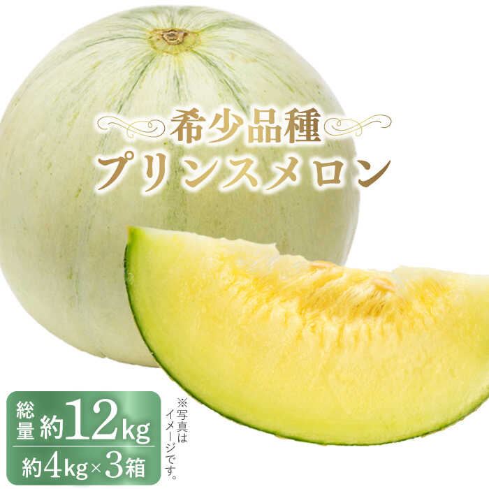 【2025年4月下旬～発送】【根強い人気！】 プリンスメロン 3箱 セット  / メロン 南島原市 / 南島原果物屋 [SCV007]