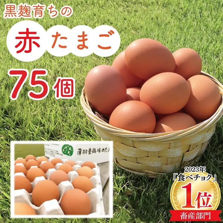 たまご 大容量 75個 黒麹育ちの赤たまご BC008