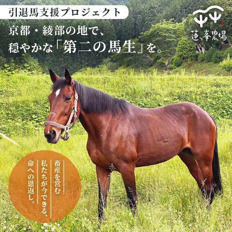 引退馬 飼育支援：寄付金額50,000円（返礼品なし）
