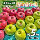 【ふるさと納税】りんご 詰め合わせ 約5kg(16～18玉) 青森産 つがる市【2024年11月下旬より順次発送】｜青森県産 津軽 つがる リンゴ 果物 サンふじ 王林 [0609]