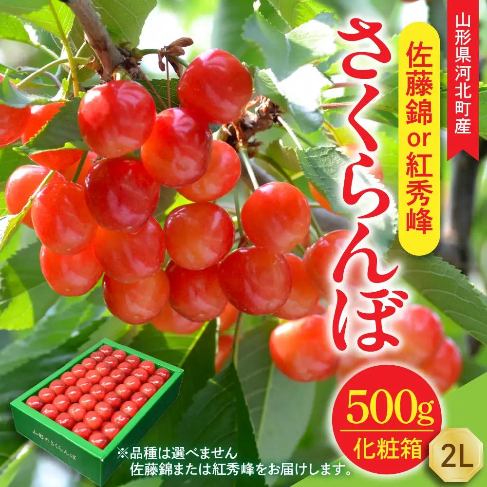 【令和9年産】さくらんぼ 佐藤錦or紅秀峰 500g 2L玉 特秀品 さくらんぼ