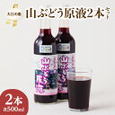 【ふるさと納税】大江の恵 山ぶどう原液2本セット (各500ml）飲料類 果汁飲料 ドリンク 果汁100% 原液 ぶどう ジュース 山葡萄 グレープ