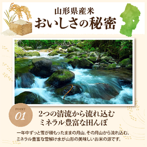 【令和7年産米】2026年7月下旬発送 特別栽培米 つや姫 10kg（5kg×2袋）山形県産 【米COMEかほく協同組合】 ka024-047d-r7-073