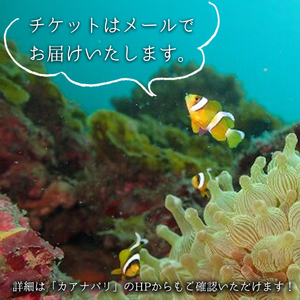 徳島最南端の海で体験ダイビング!