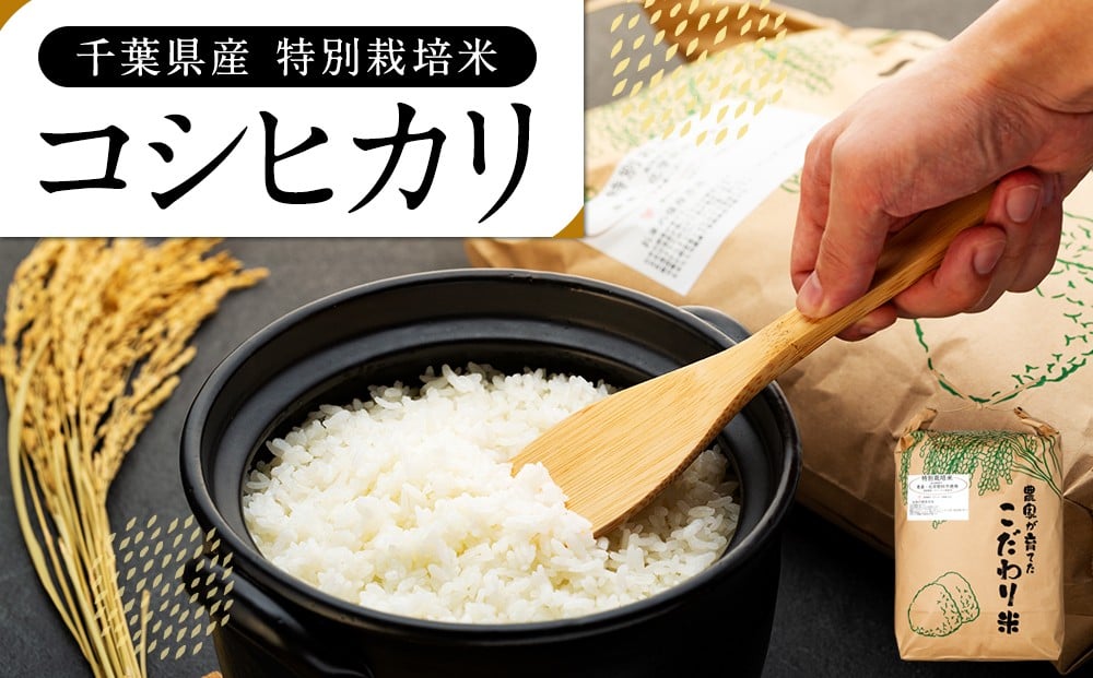 
            AB1-003 特別栽培米　コシヒカリ（白米）4.5kg
          