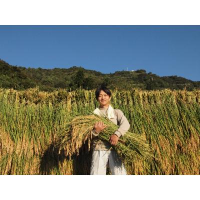 ふるさと納税 魚沼市 【令和8年産先行受付】魚沼産特別栽培ふたえぼし　精米5kg |  | 01